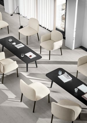 Plum_Mood_Image_14 copy.jpeg