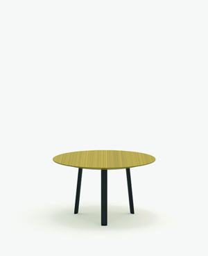 SUN203 _Rotations_01.jpg