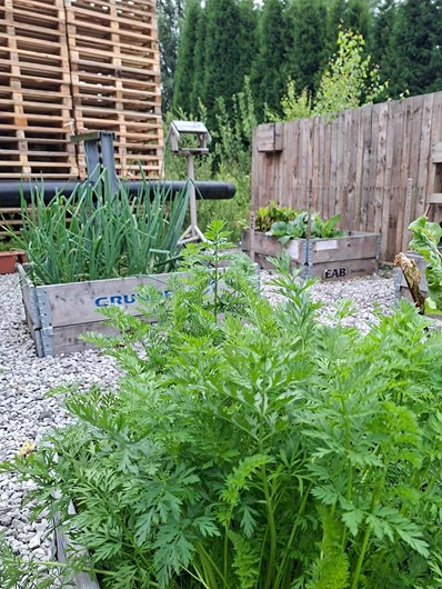 About Us Gallery Left